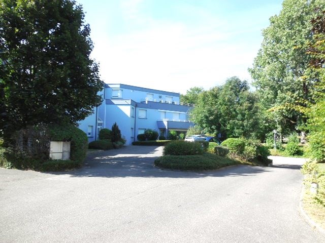 Le Bon Coin Location Appartement Mulhouse Dornach